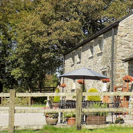 Lower Willsworthy Cottage ทาวิสต็อก ภายนอก รูปภาพ