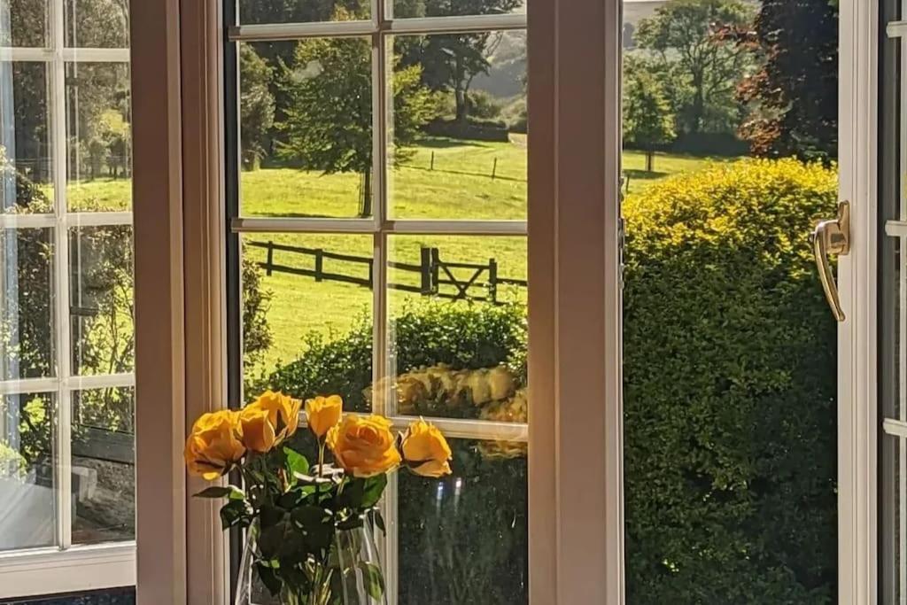 Lower Willsworthy Cottage ทาวิสต็อก ภายนอก รูปภาพ