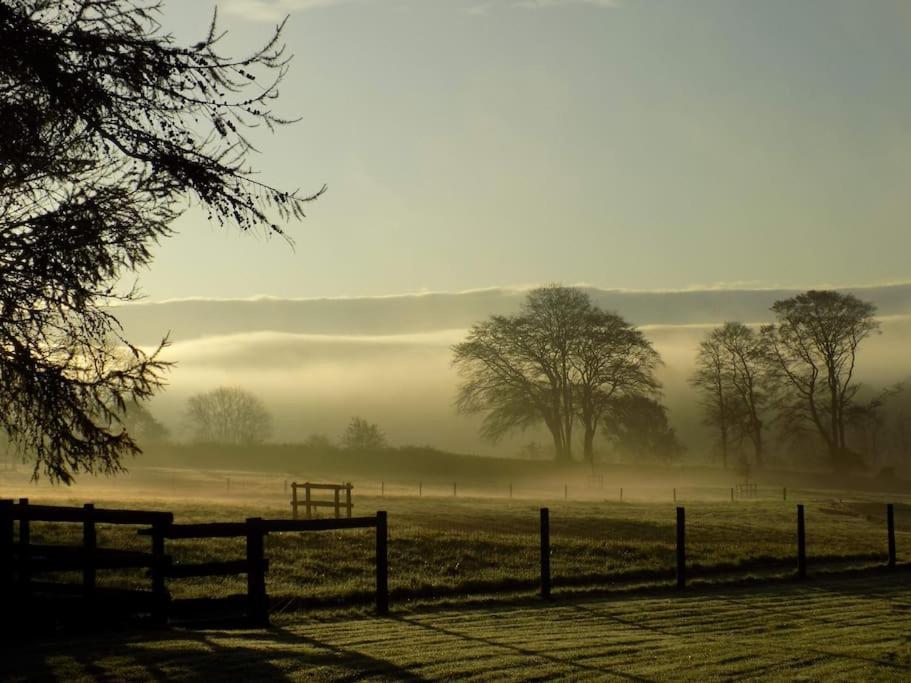 Lower Willsworthy Cottage ทาวิสต็อก ภายนอก รูปภาพ