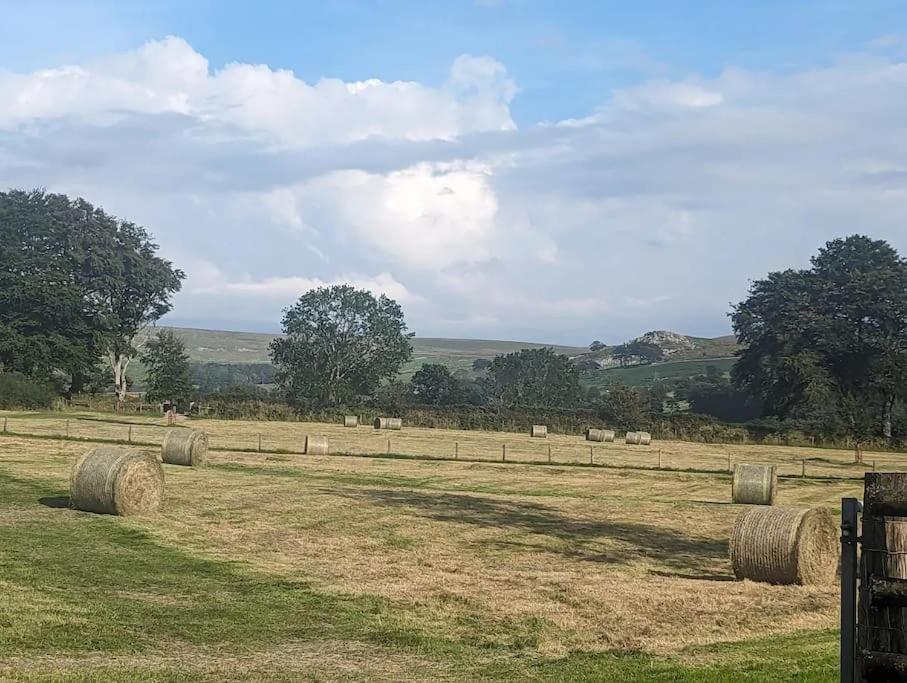 Lower Willsworthy Cottage ทาวิสต็อก ภายนอก รูปภาพ