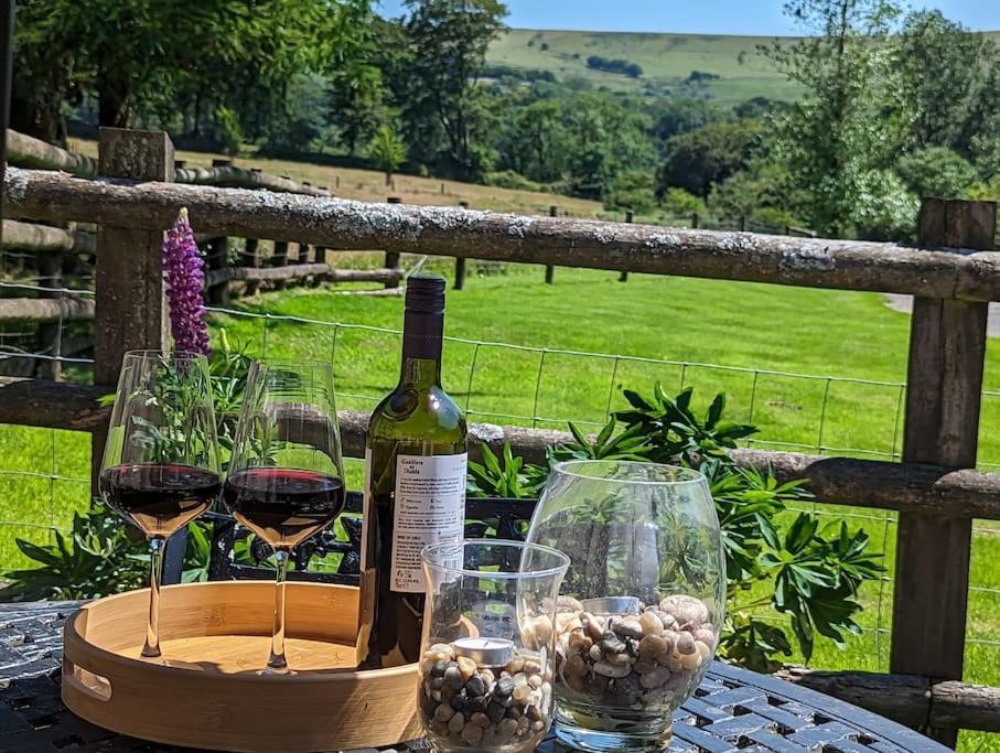Lower Willsworthy Cottage ทาวิสต็อก ภายนอก รูปภาพ